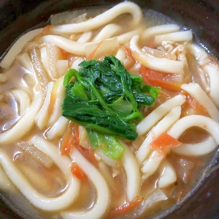 野菜と豚肉の煮込みうどん☆彡